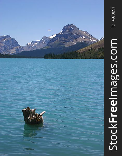 An old tree stump breaking through the water near the shore of an amazing crystal blue lake in the Canadian Rockies. An old tree stump breaking through the water near the shore of an amazing crystal blue lake in the Canadian Rockies