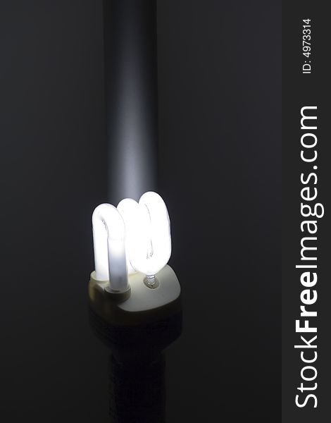 Lighting self-ballasted fluorescent economical lamp for background use. Lighting self-ballasted fluorescent economical lamp for background use