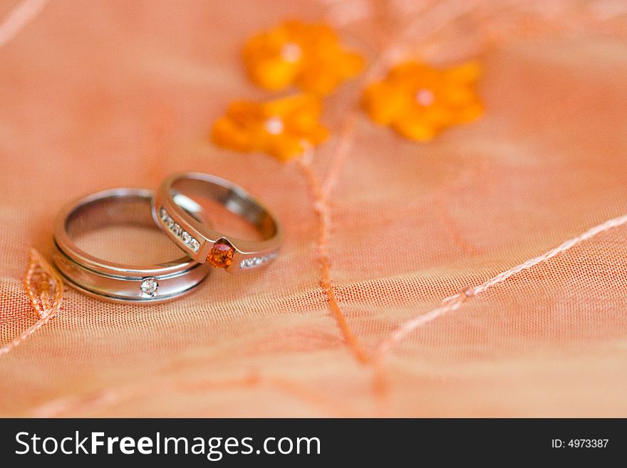 Wedding Rings In Roses