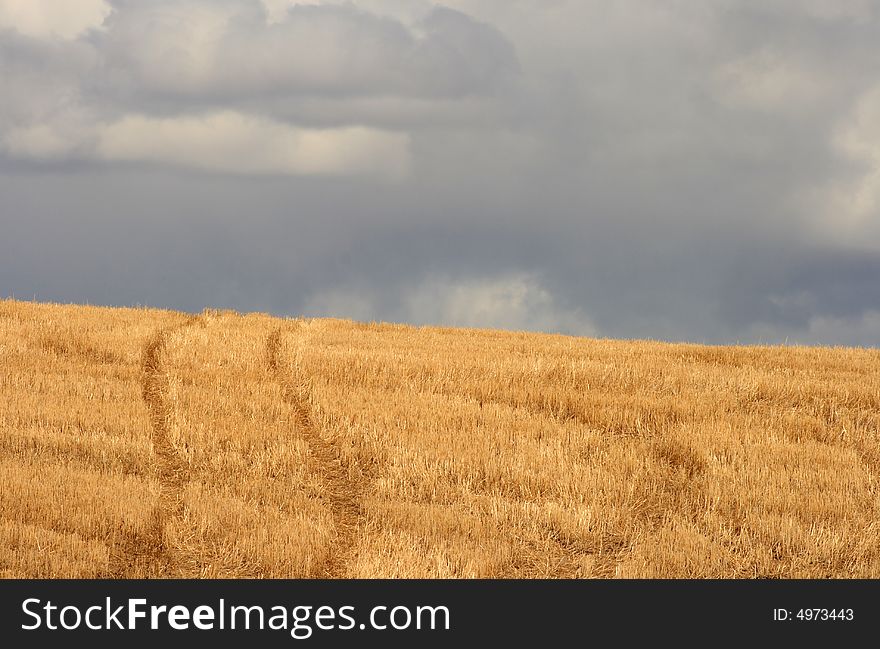 A pair of tracks stretching over a hill on the endless prairies. A pair of tracks stretching over a hill on the endless prairies