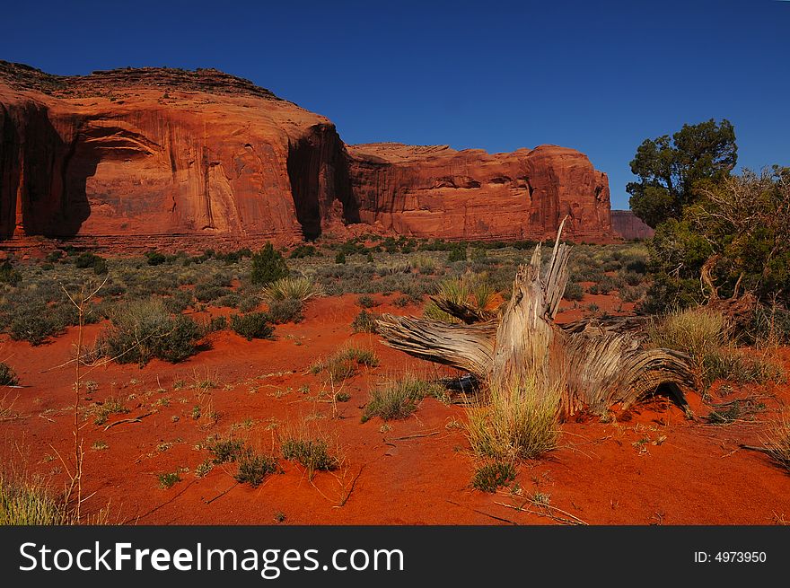 A beautiful background Image of Monument valley in Spring