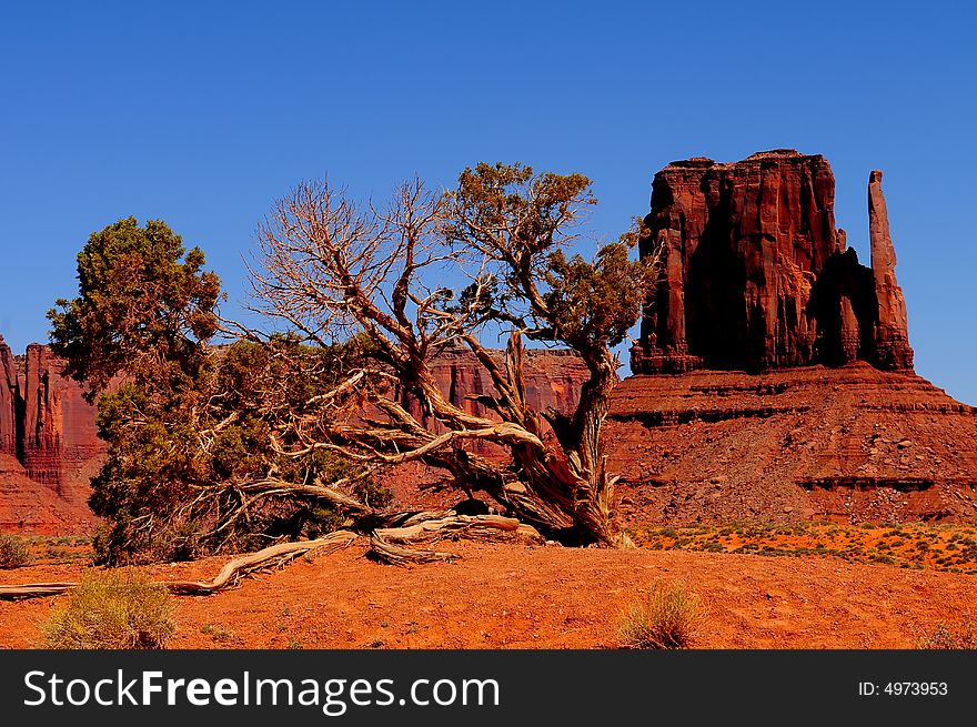 A beautiful background Image of Monument valley