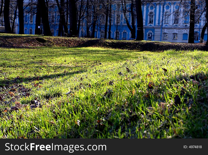 Green spring grass in evening beams of the sun. Green spring grass in evening beams of the sun