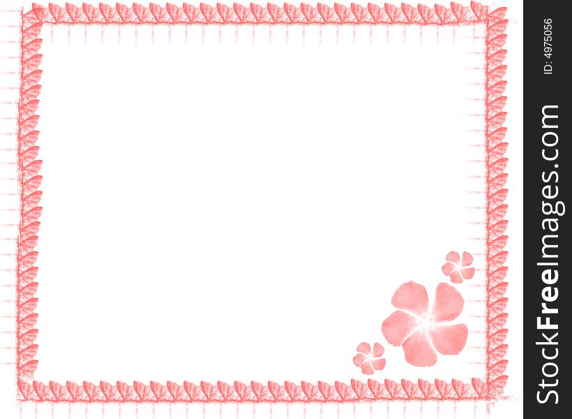 Flower card with pink frame