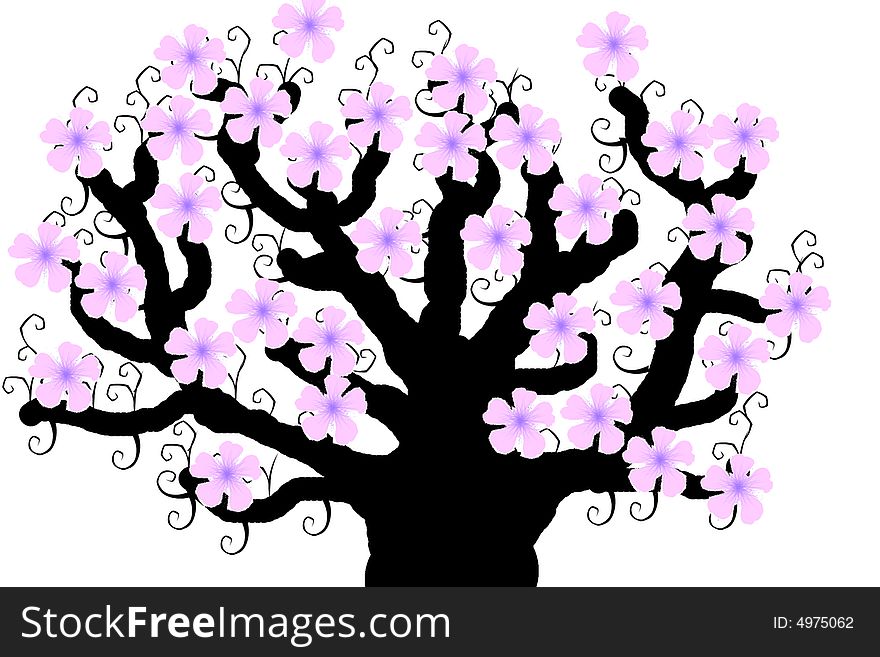 Old sherry tree with many flowers