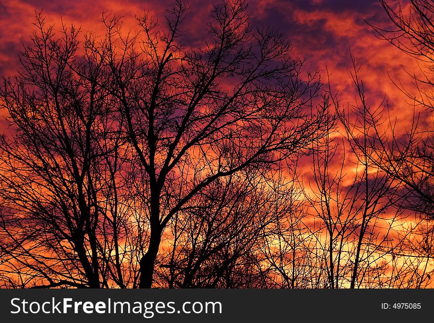 Morning Sunrise Silhouette