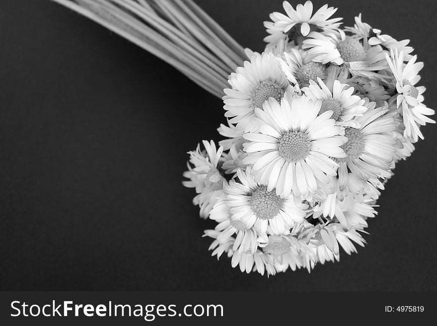 Bouquet of daisies