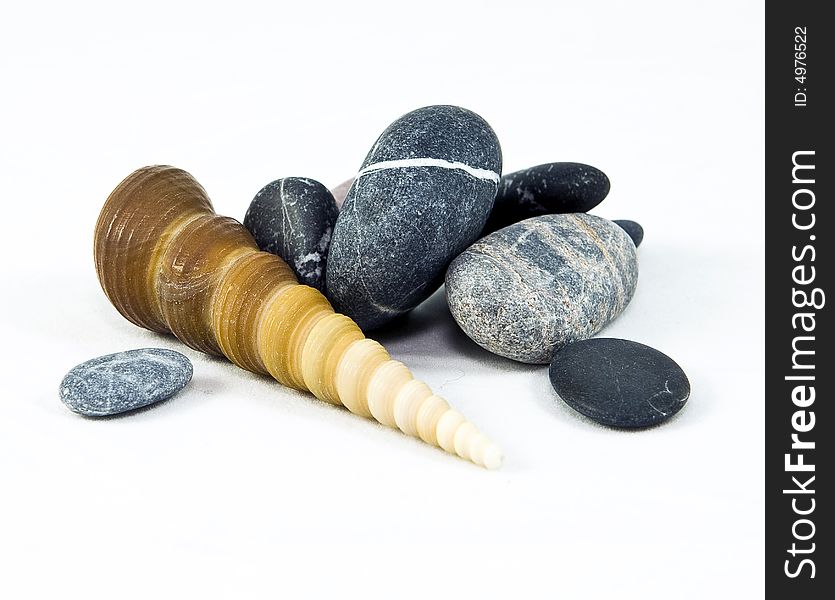 Isolated stones with cockle-shell