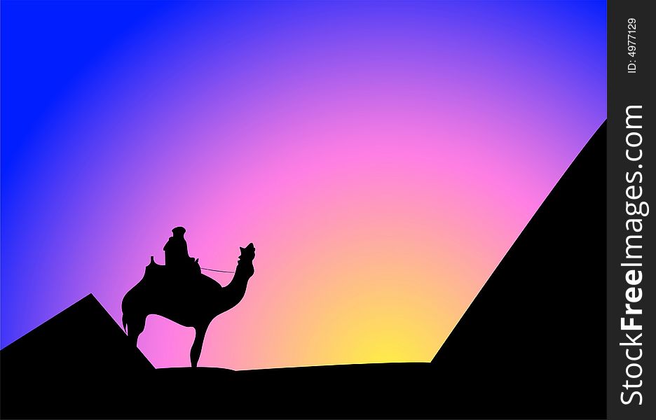 The person on a camel