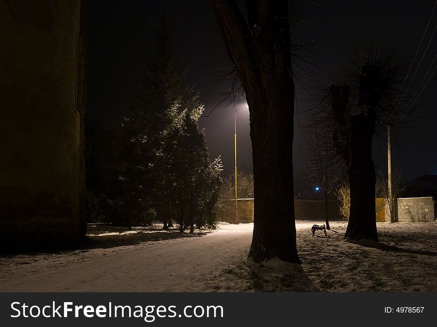 Night Winter Scene