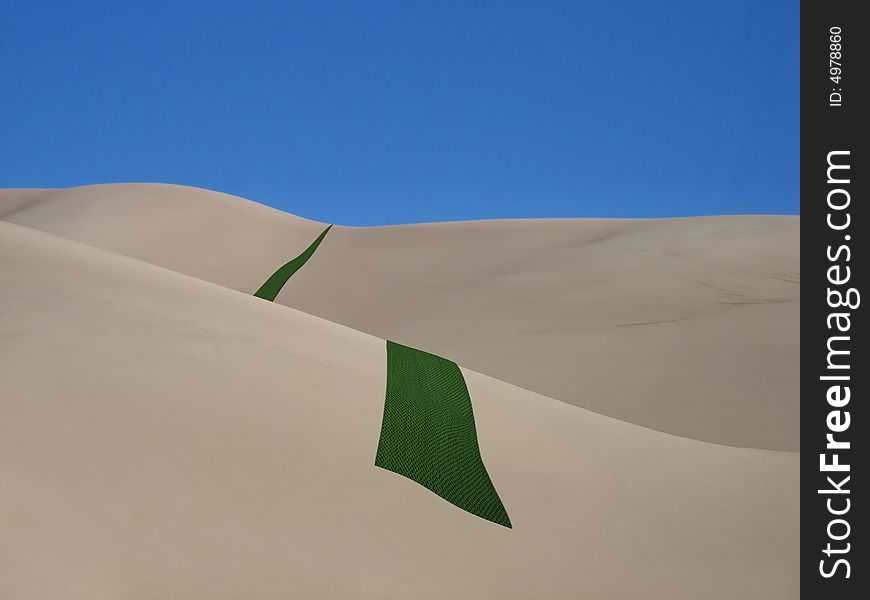 Green Carpet in Desert