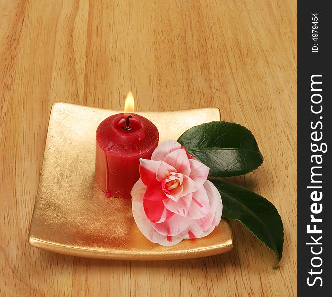 Candle with red and white Camellia flower on gold dish. Candle with red and white Camellia flower on gold dish