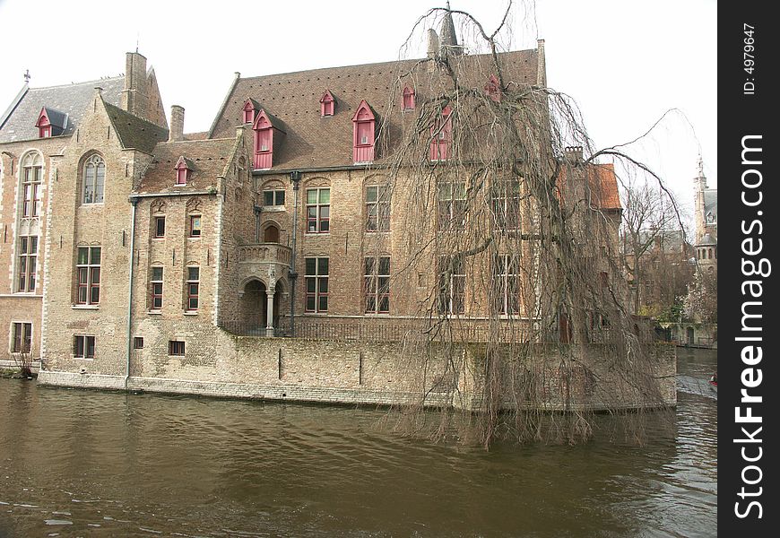 Old Houses On A Channel In Brugge, with Swans in the water