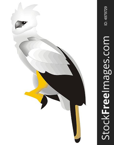 Art illustration of a harpy eagle