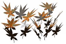 Abstract Leaves Background. Stock Photo Abstract Leaves Background. Stock Photo