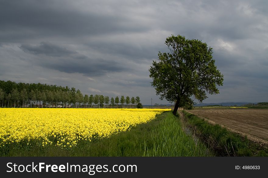 Spring fields before the storm. Spring fields before the storm