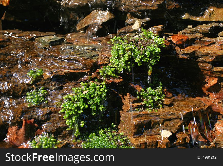 Miniature waterfall - visible water motion blur. Green moss. Miniature waterfall - visible water motion blur. Green moss.