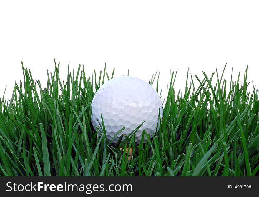 Golf ball setting in the tall grass. Golf ball setting in the tall grass