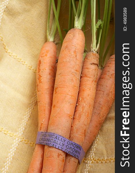 Bunch of carrots with organically grown label. Bunch of carrots with organically grown label