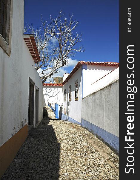 Portugal, Obidos: traditional  street with small white and blue houses and red tiles a typical view of this touristic destination ; detail of the blue walls. Portugal, Obidos: traditional  street with small white and blue houses and red tiles a typical view of this touristic destination ; detail of the blue walls