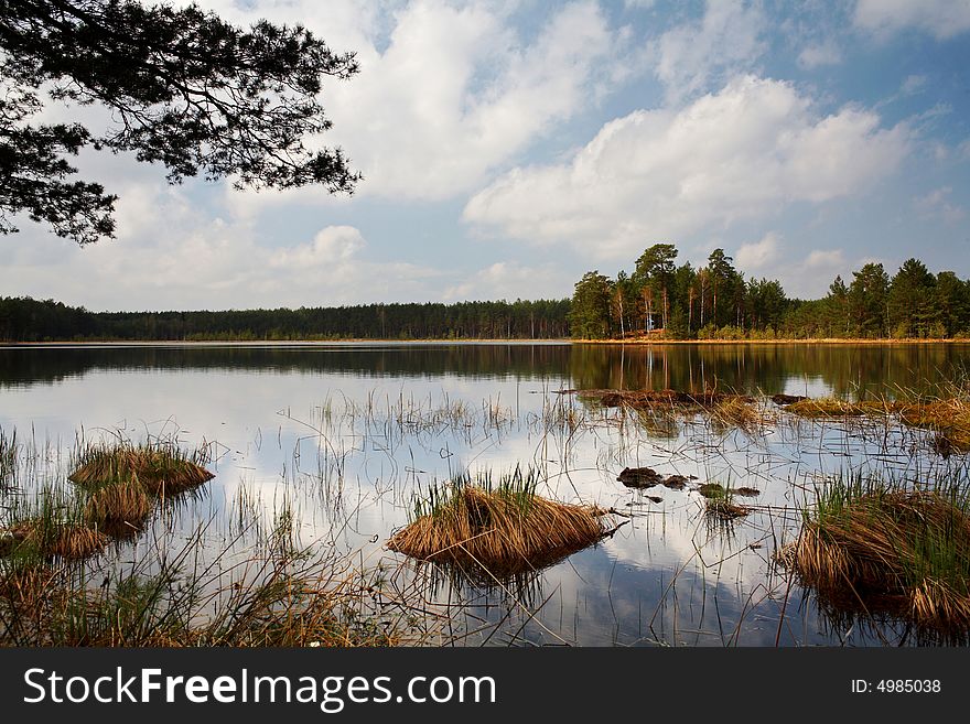 A lake with grass and blue sky