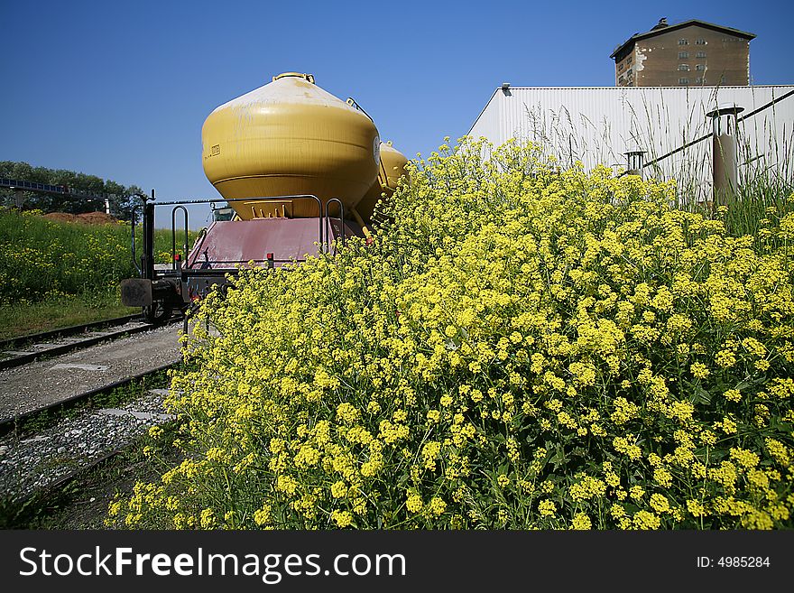 Rail Transport With Yellow Silos