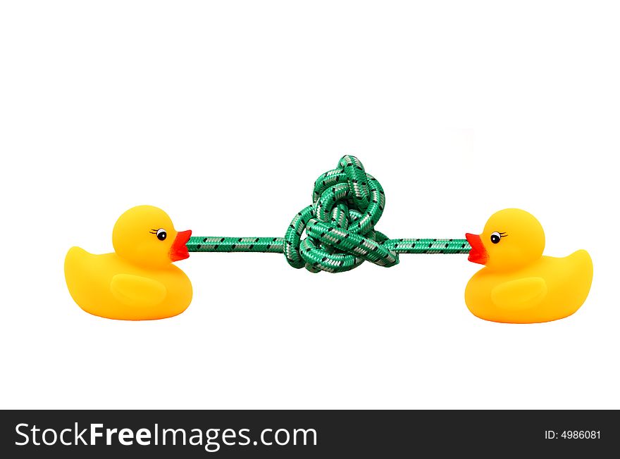 Two yellow rubber ducks strugling with a knot in a rope. Two yellow rubber ducks strugling with a knot in a rope