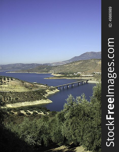 River next to granada with olive trees in front, Spain. River next to granada with olive trees in front, Spain