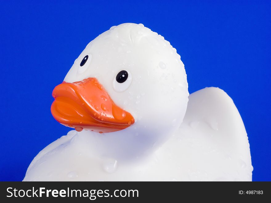 Rubber duck covered with waterdrops isolated on a blue background. Rubber duck covered with waterdrops isolated on a blue background.