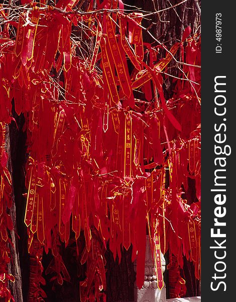 Red prayer belts hanging on an old tree