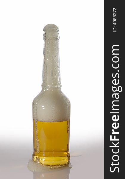 Beer bottle on clean background