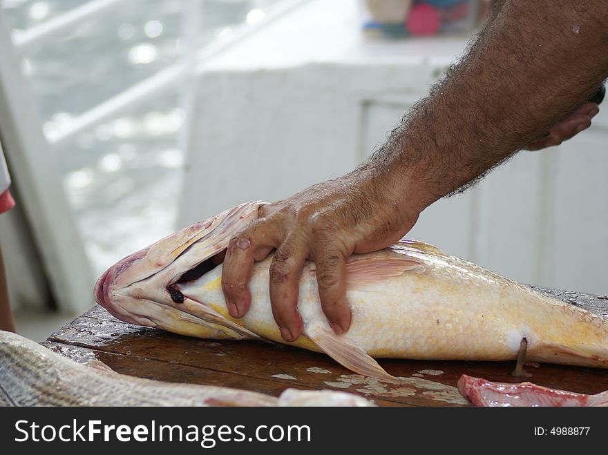 Fish being cleaned and cut by a fisherman. Fish being cleaned and cut by a fisherman