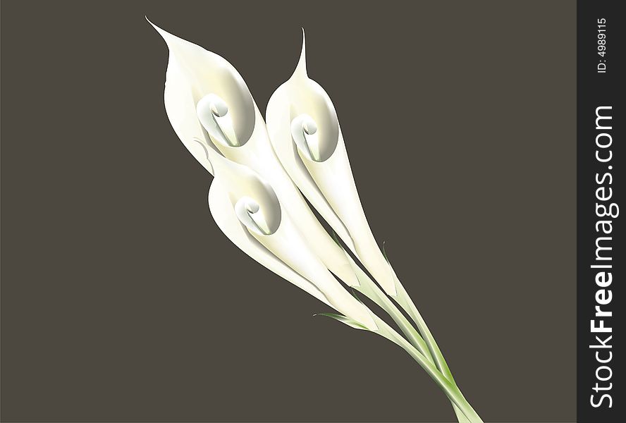 a bouquet of flowers painted in vector format. a bouquet of flowers painted in vector format