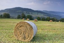 Bails Of Hay Stock Image Bails Of Hay Stock Image