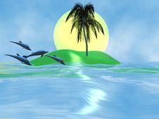Dolphin And The Sea Royalty Free Stock Images Dolphin And The Sea Royalty Free Stock Images