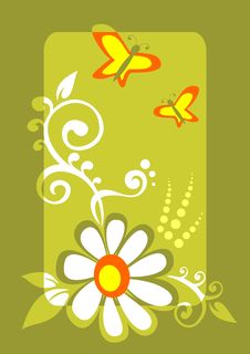 Butterflies And Chamomile Royalty Free Stock Images Butterflies And Chamomile Royalty Free Stock Images
