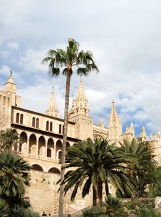 Gothic Cathedral And Palms Royalty Free Stock Images Gothic Cathedral And Palms Royalty Free Stock Images
