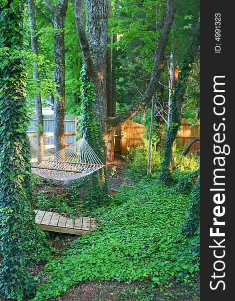 A tranquil hammock under a green canopy