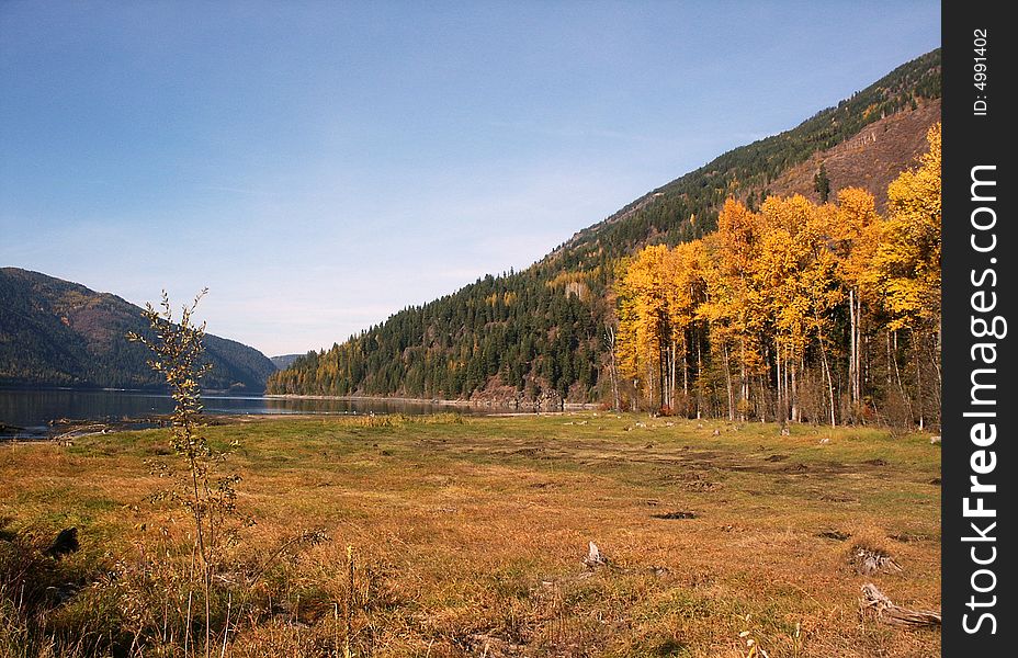 Aspens and Lake