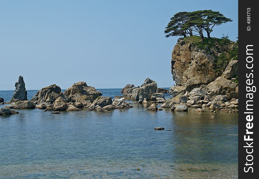 Sea Reserve Landscape