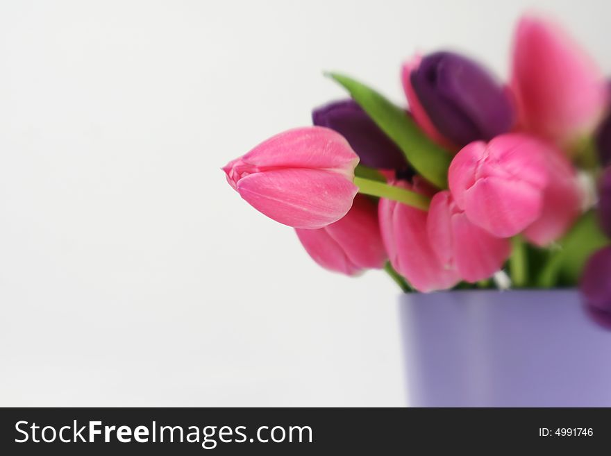 A purple vase full of tulips with shallow focus. A purple vase full of tulips with shallow focus