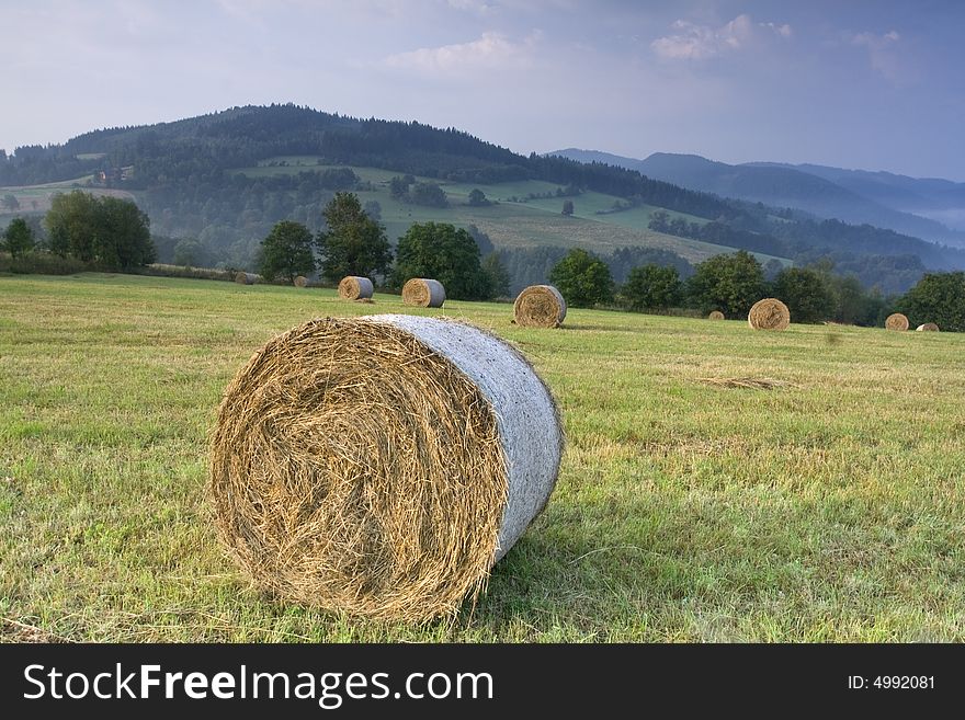 Bails of hay and beautiful green landscape