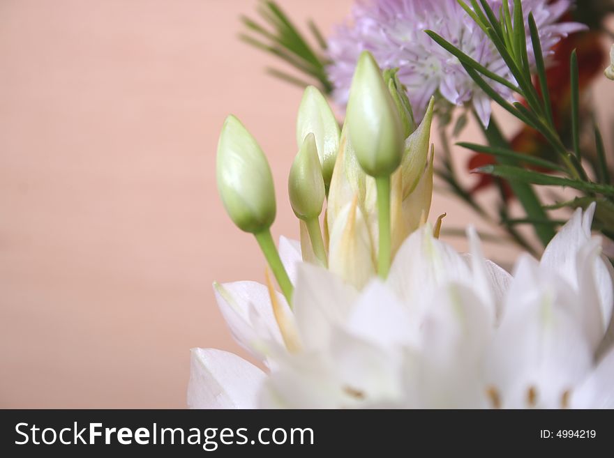 Flowers bouquet close-up, detailed