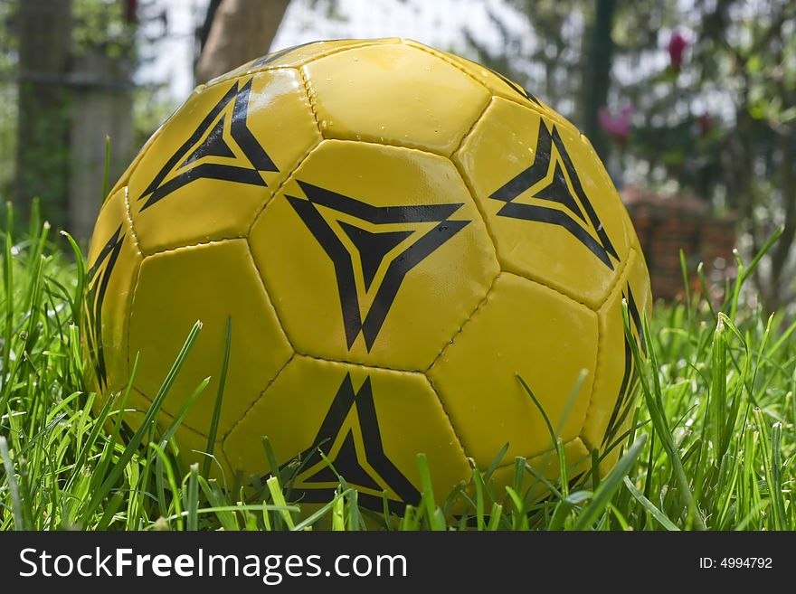 Yellow and black soccer ball in grass