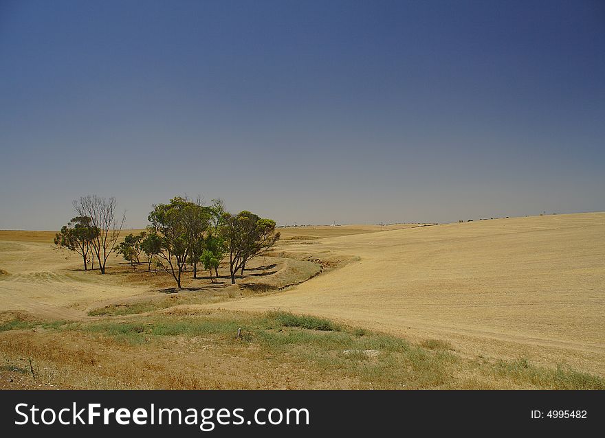 Israel. Norten part of desert Negev. Israel. Norten part of desert Negev.