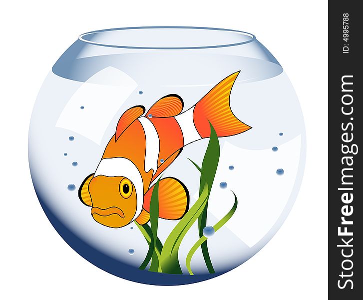 Exotic fish in aquarium, vector illustration,  AI file included. Exotic fish in aquarium, vector illustration,  AI file included
