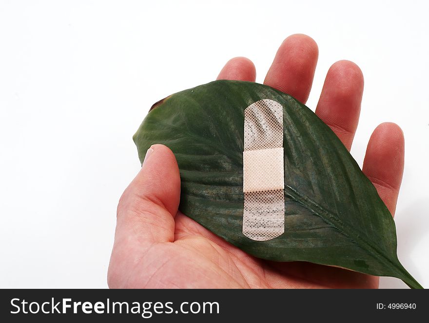 A band aid on a green leaf on white background. A band aid on a green leaf on white background.