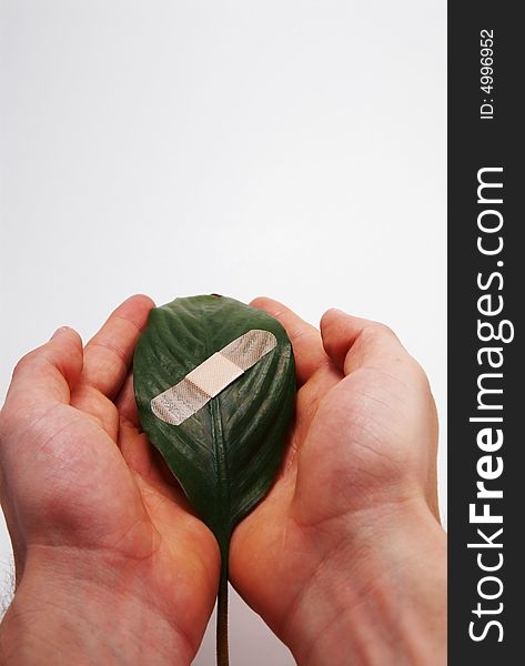 A band aid on a green leaf on white background. A band aid on a green leaf on white background.