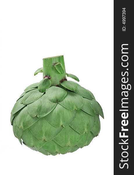 Fresh cut globe artichoke showing stem on white background. Fresh cut globe artichoke showing stem on white background.