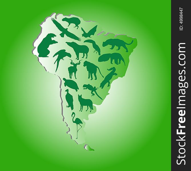 This is the wild animals in South America - Vector illustration